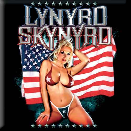 Lynyrd Skynyrd - Fridge Magnet: American Flag - TV Memorabilia Fridge image 1