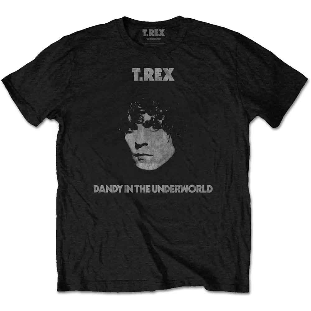 T-Rex - tshirt - Unisex - Short Sleeves - Medium image 1